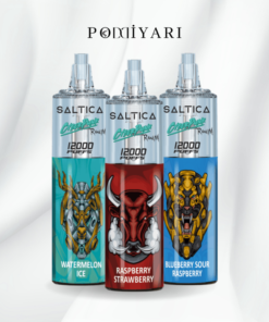 Saltica 12000 Puff Poddiyari.com